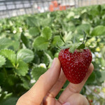 姫路ハートフル観光農園 - 