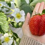 姫路ハートフル観光農園 - 