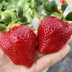 姫路ハートフル観光農園 - 