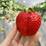 姫路ハートフル観光農園 - 