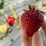 姫路ハートフル観光農園 - 