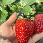 姫路ハートフル観光農園 - 