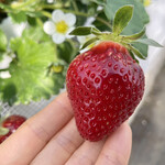 姫路ハートフル観光農園 - 