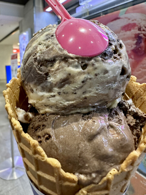 Thirty-One Ice Cream Tokyu Puraza Kamata Ten