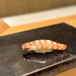 鮨 まつうら - 海老　長崎