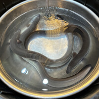 入谷鬼子母神門前のだや - 