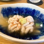 スシコーヒー - 白子