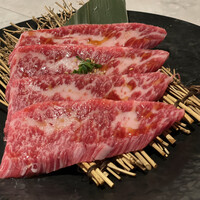 PONGA PREMIUM - 