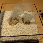 サンプリシテ - キャラメル