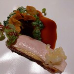 サンプリシテ - ホロホロ鳥