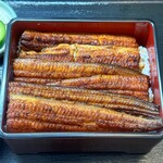 Unagi Saitaniya - 