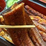 Unagi Saitaniya - 