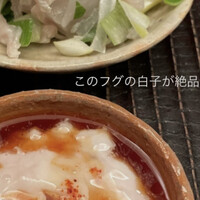 緒方 - フグの湯引き　白子ポン酢