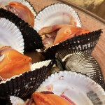 緒方 - 立派な赤貝