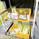 Mishima Seimenjo - お野菜も販売されてます