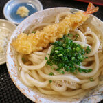 Honkaku Te Uchi Udon Ya 108 - かけ500円＋海老天ぷら300円