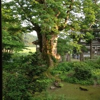 欅苑 - 