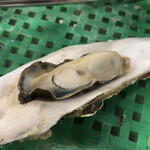 極楽湯 - 牡蠣その4♪