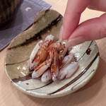 木挽町 とも樹 - 隣の女史は悪戯好きです。親方がラッコにそっと出してくれた蝦蛄爪を侵略しますヾ(≧▽≦)ﾉ