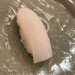 木挽町 とも樹 - 墨烏賊です