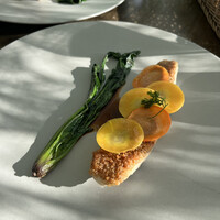 TRATTORIA CREATTA - 
