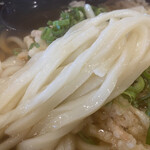 薬師うどん - 細めの麺は柔らか