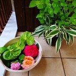 ふくふく庵 - エントランス