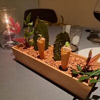 プレヴナンス - 