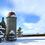 樹庵 - 入り口から見える景色