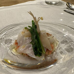 シャントレル - 