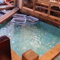 河太郎 中洲本店 - 店内真ん中には生簀があります。