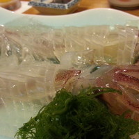河太郎 中洲本店 - 呼子のイカ！
