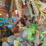 HOTSAND CAFE Forest DAIKANYAMA - 