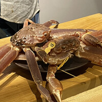 御幸町 田がわ - 