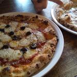 PIZZERIA TERRENO - 