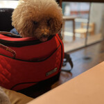 THE NUTS EXCHANGE - おやつを沢山あげるｗ