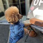 ＭＯＭＩＮＯＫＩ ＨＯＵＳＥ - 入口の看板で