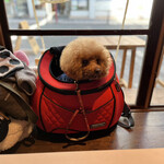 THE NUTS EXCHANGE - 窓際の席