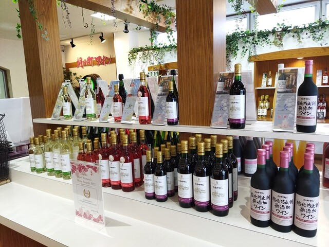 朝日町ワイン城 - 朝日町その他（その他）の写真