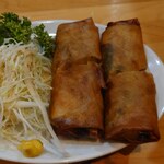 Heian Raku - 下呂山菜の春巻き
