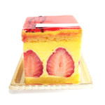 アルション - フレジェの断面 '13 5月下旬