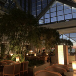 ピーク・バー - 