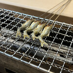 松川 - 焼きもろこ