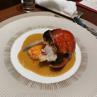 スガラボヴィー - 