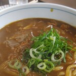 カレーうどん専科 祥 - 