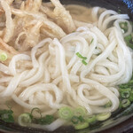 Hoshino An - 手打ちの細麺