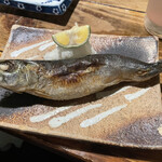 居酒屋 ちょーちょ - とろいわし