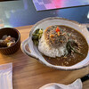 SUNCURRY - 