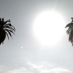 大淀河畔 みやちく - 