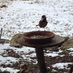 くつきそば 永昌庵 - 